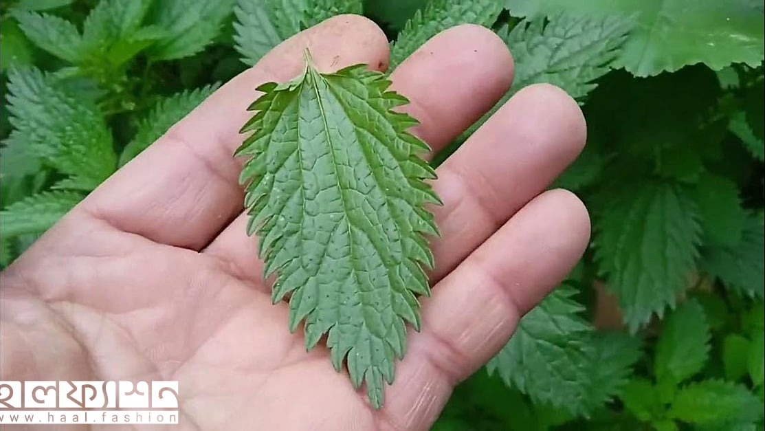 Rus onanizm onlayn porno sokinish Mening xolamning mushukidagi cum